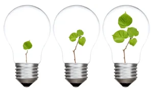 Three clear glass light bulbs containing progressively larger green plant sprouts, symbolizing growth and development