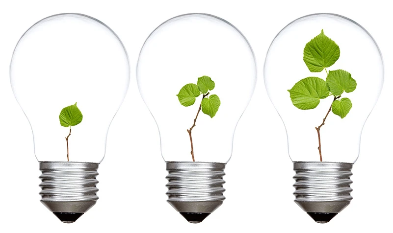 Three clear light bulbs containing progressively larger green plant seedlings representing growth and development