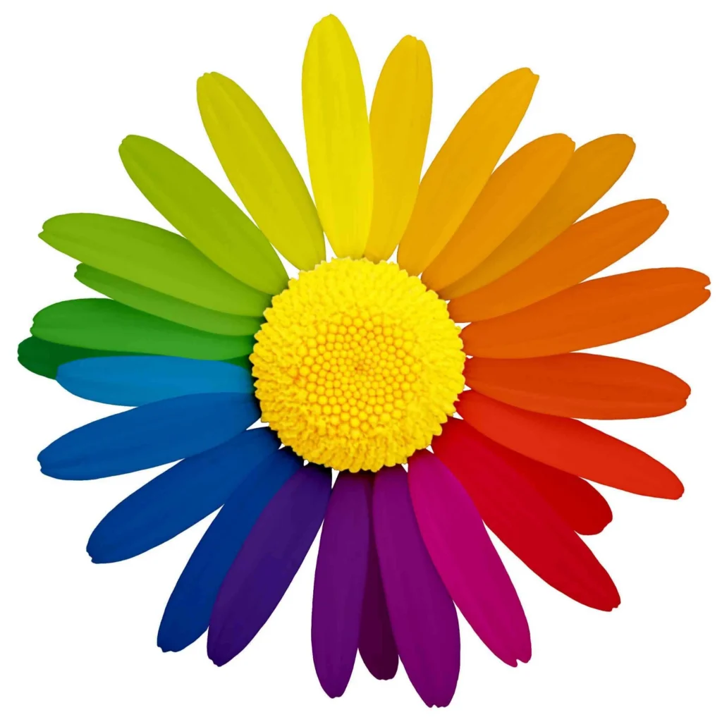 Colorful daisy flower with yellow center and petals in rainbow gradient from green through blue, purple, red, orange, and yellow