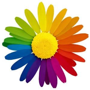A colorful daisy flower illustration with a bright yellow center and petals in rainbow colors ranging from green through blue, purple, red, orange,...